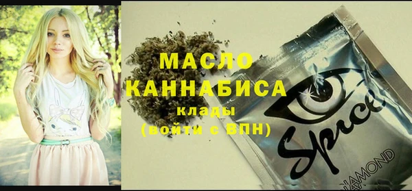 молекула духа Абинск