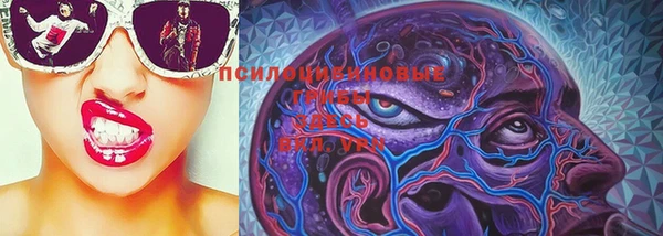 молекула духа Абинск