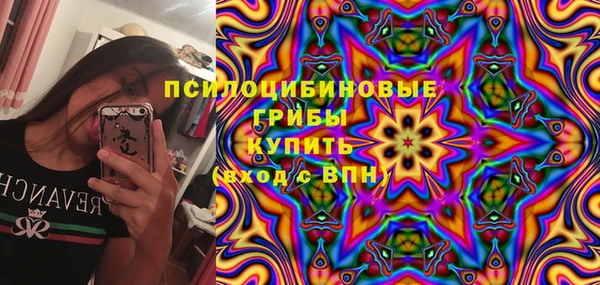 соль ск Алексин